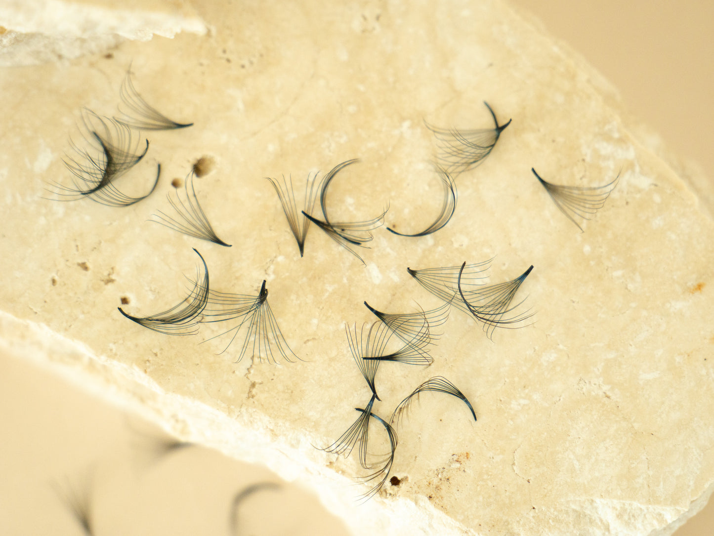 C CURL - Loose Volume Premade Eye Lash Extensions