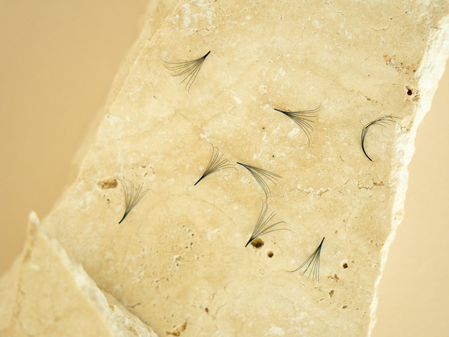 C CURL - Loose Volume Premade Eye Lash Extensions