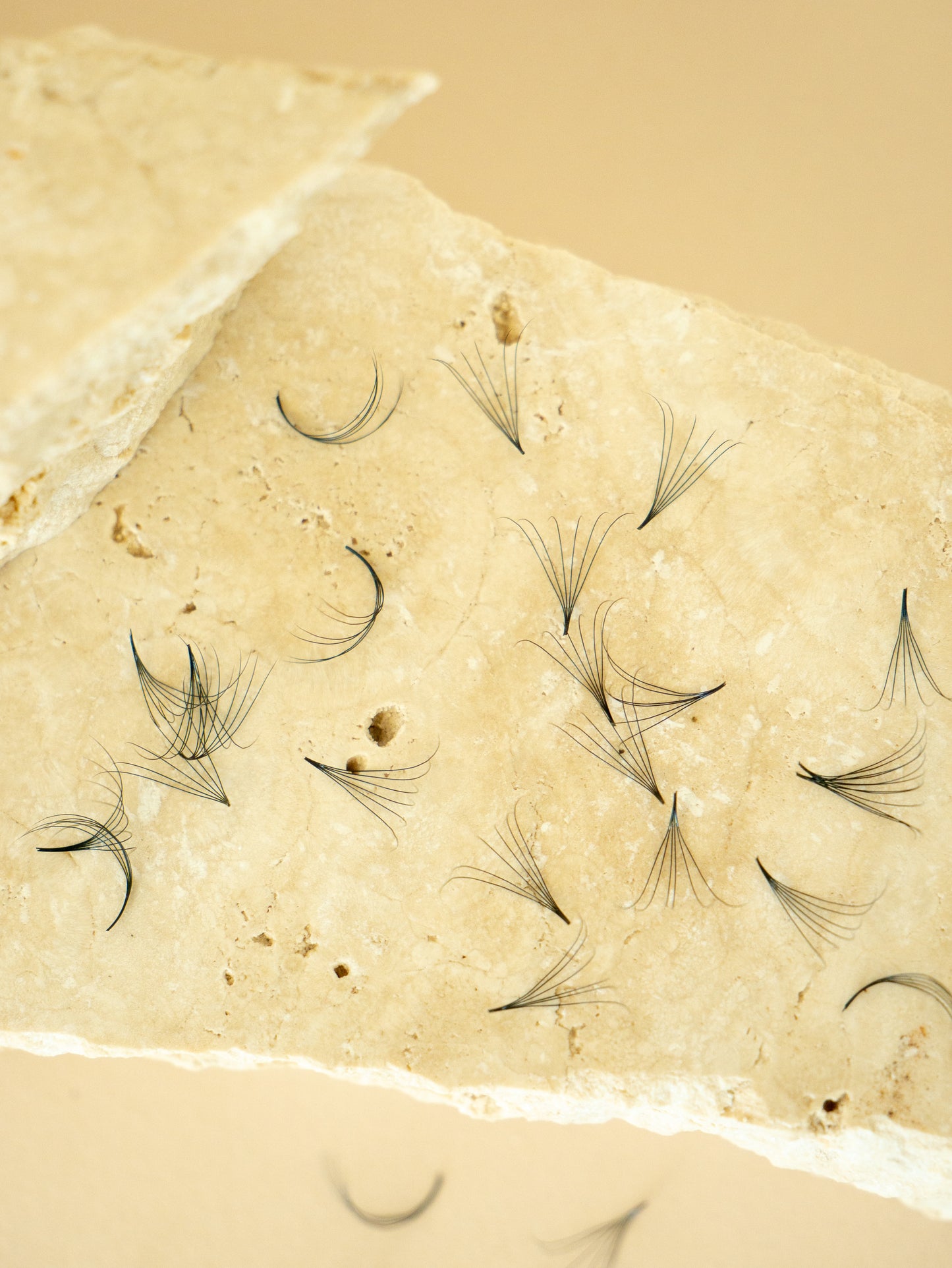 C CURL - Loose Volume Premade Eye Lash Extensions